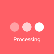 Dermot Earley Youth Leadership Initiative 